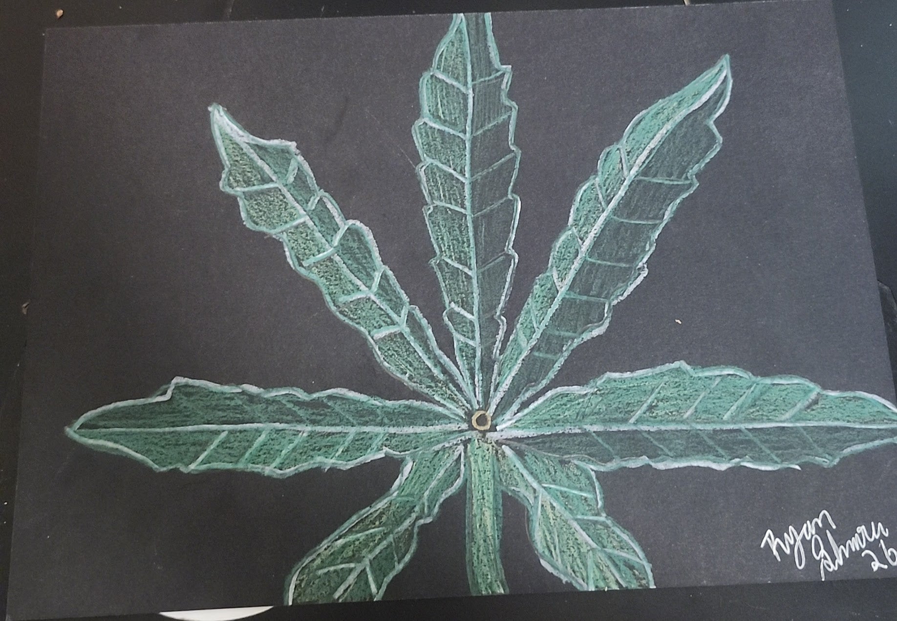 pot leaf